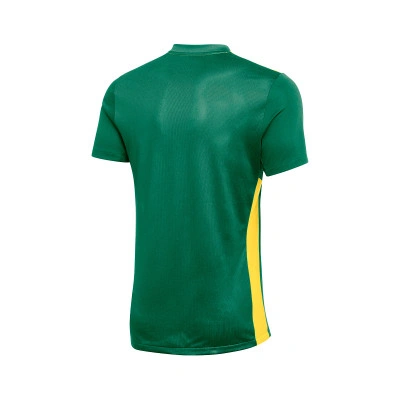 Koszulka Park Derby IV m/c