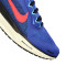 Buty Nike Air Zoom Pegasus 41