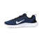 Buty Nike Flex Experience Run 12