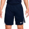 Spodenki Nike Dri-Fit Strike