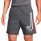 Spodenki Nike Academy23