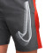 Spodenki Nike Academy23