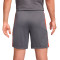 Spodenki Nike Akademia Dri-FIT