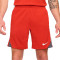 Spodenki Nike Dri-Fit Strike