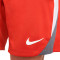 Spodenki Nike Dri-Fit Strike