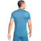 Koszulka Nike Academy Dri-FIT