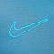 Koszulka Nike Academy Dri-FIT