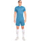 Koszulka Nike Academy Dri-FIT