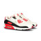Obuwie sportowe Nike Damskie buty Air Max 90