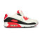 Obuwie sportowe Nike Damskie buty Air Max 90