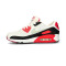 Obuwie sportowe Nike Damskie buty Air Max 90