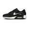 Obuwie sportowe Nike Damskie buty Air Max 90
