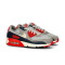 Obuwie sportowe Nike Air Max 90