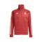 Kurtka adidas FC Bayern 2024-2025 Odzież kibica