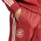Długie spodnie adidas FC Bayern 2024-2025 Odzież kibica