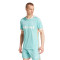Koszulka adidas Inter Miami CF 2024-2025 Autentycznie trzeci MESSI