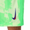 Spodenki Nike FC Barcelona 2024-2025 Trzecia