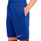 Spodenki Nike Kids FC Barcelona Trening 2024-2025
