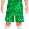 Spodenki Nike Bramkarz Liverpool FC 2024-2025 trzeci