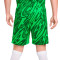 Spodenki Nike Bramkarz Liverpool FC 2024-2025 trzeci