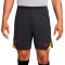 Spodenki Nike Liverpool FC 2024-2025 Trening