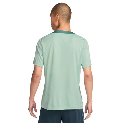 Koszulka Tottenham 2024-2025 Trening