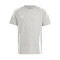Koszulka adidas Tiro 24 Cotton Mujer