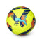 Piłka Puma Orbita Liga F 2024-2025 Fifa Quality Pro