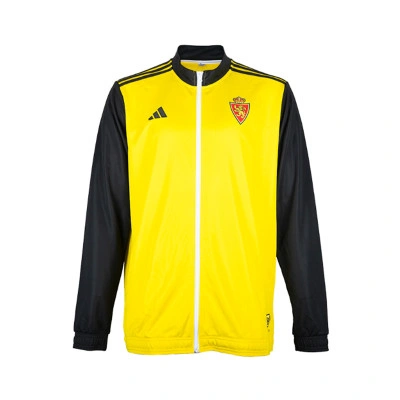Kurtka Real Zaragoza 2023-2024 Pre-Match