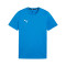 Koszulka Puma teamGOAL Cotton