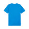 Koszulka Puma teamGOAL Cotton