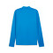 Bluza Puma teamGOAL