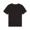 Koszulka Puma teamRISE Matchday m/c