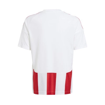 Koszulka Striped 24 m/c