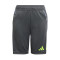 Spodenki adidas Tiro 24 Competition Niño