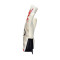 Rękawica Uhlsport Absolutgrip Foam England Euro24