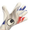 Rękawica Uhlsport Absolutgrip Foam France Euro24
