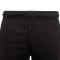 Spodenki Meteora Short Essential brush