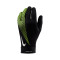 Akademia Guantes Therma-Fit