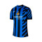 Koszulka Nike Inter Mediolan 2024-2025 Authentic Home