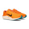 Buty Nike Winflo 11