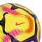 Piłka Nike Premier League 2024-2025 Academy