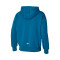 Bluza Mizuno Athletics Graphic Hoody