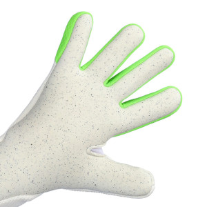 DŁOŃ-1