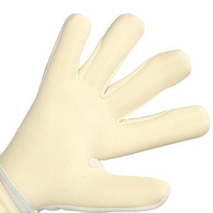 DŁOŃ-1