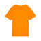 Koszulka Puma Individualrise Graphic Jersey Niño