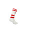 Skarpety Memoraball Socks Benfica Sln. 1904