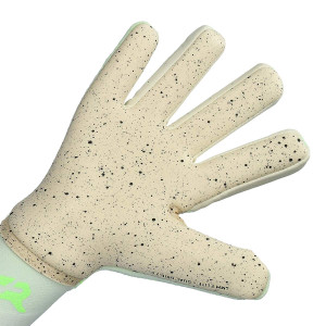 DŁOŃ-1