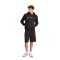 Bluza adidas Odzież kibica Ajax 2024-2025