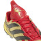 Buty piłkarskie adidas Predator Precision Elite FG ZZ